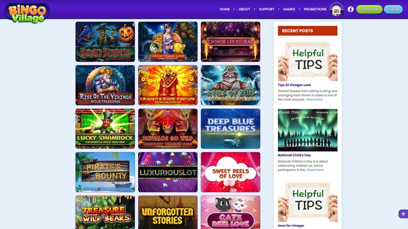 bingovillage slots screenshot
