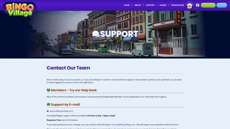 bingovillage support screenshot