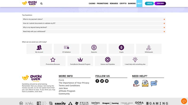 duckyluck support screenshot