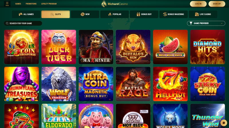 richard-casino slots screenshot