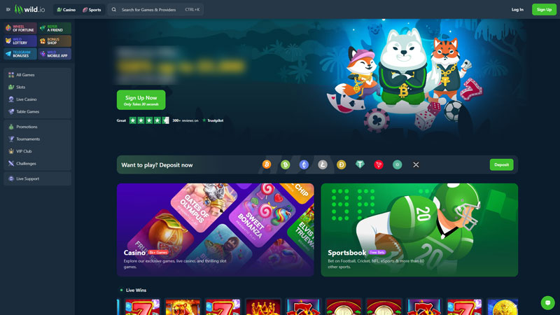 Thumbnail wild-io lobby